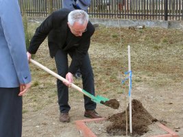 Posadzenie Dębu Pamięci - rok 2011