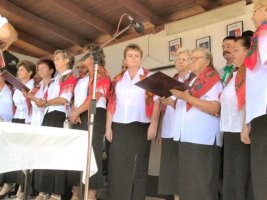 Gminne dożynki w Olesznie - rok 2005
