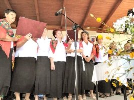 Gminne dożynki w Olesznie - rok 2005