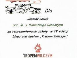 Dyplomy - rok szkolny 2015/2016
