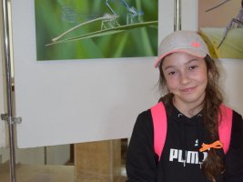 Dzień owada 2016