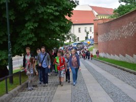 Dzień owada 2016