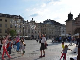 Dzień owada 2016
