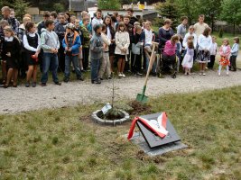 Posadzenie Jodły Papieskiej - 2011