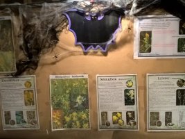 Noc Biologów 2018