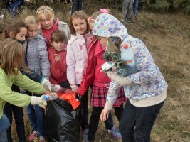 Sprzątanie Świata - rok 2013