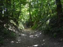 Wycieczka do Sandomierza - rok 2016