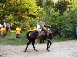 Wykus 2011
