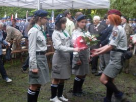 Wykus - rok 2013