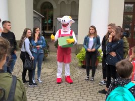 Zlot w Busku 2017